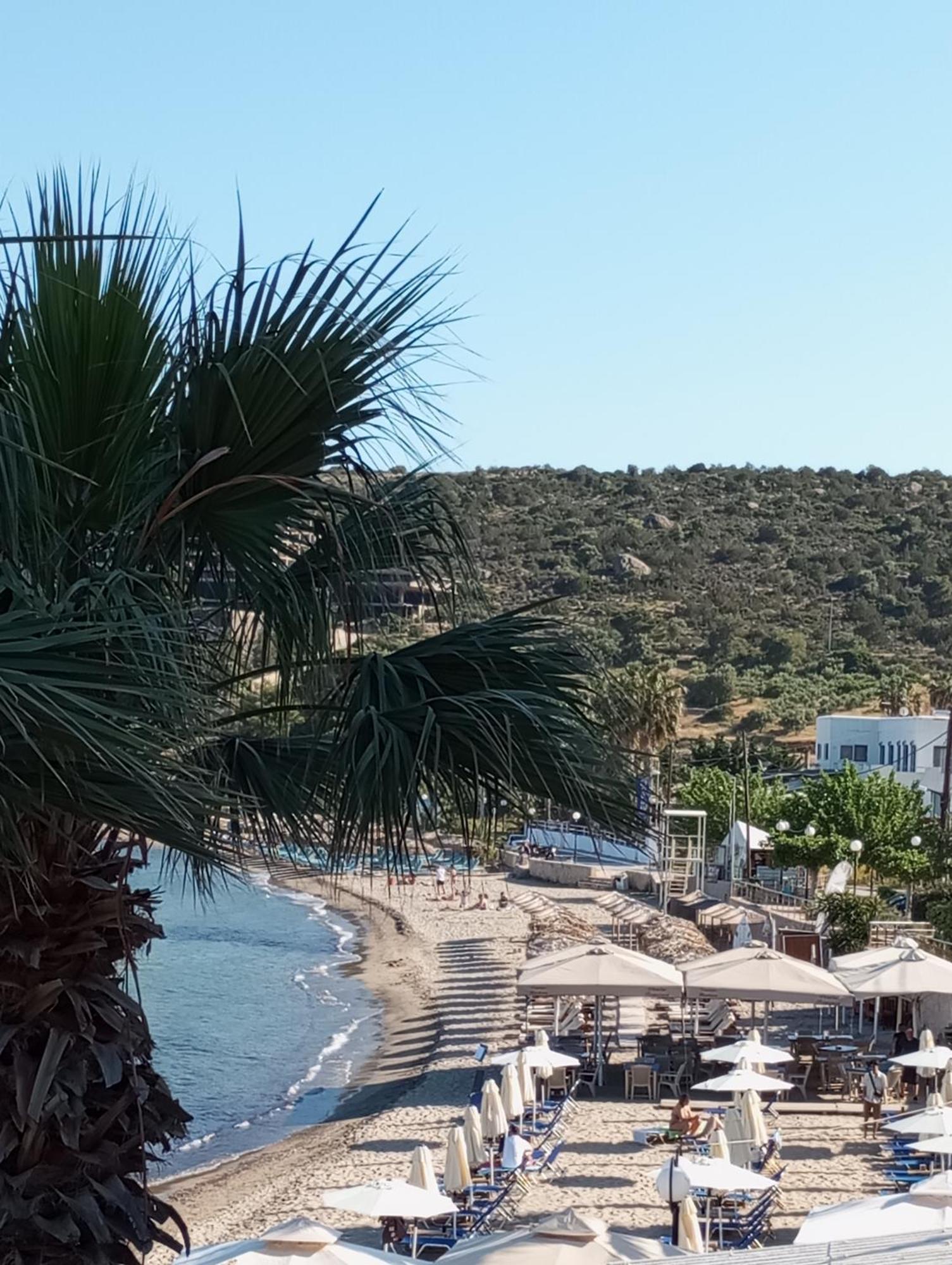 Svetlana&Michalis Oasis Hotel Agia Marina  Exteriör bild